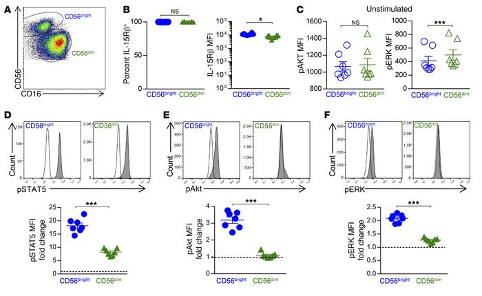 IL-15 more robustly activates the PI3K/Akt/mTOR and
                    ...