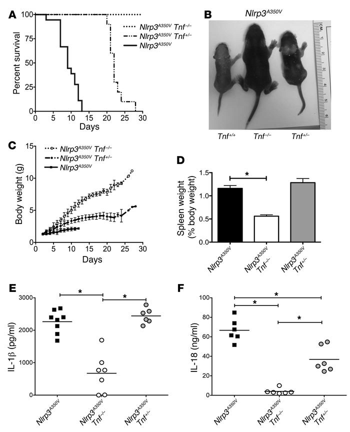 TNF deficiency prevents and attenuates systemic inflammatory disease in ...