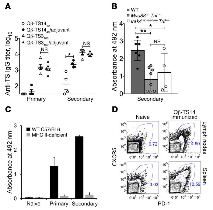 Innate immune signaling and cognate CD4 T cells are essential for anti-g...