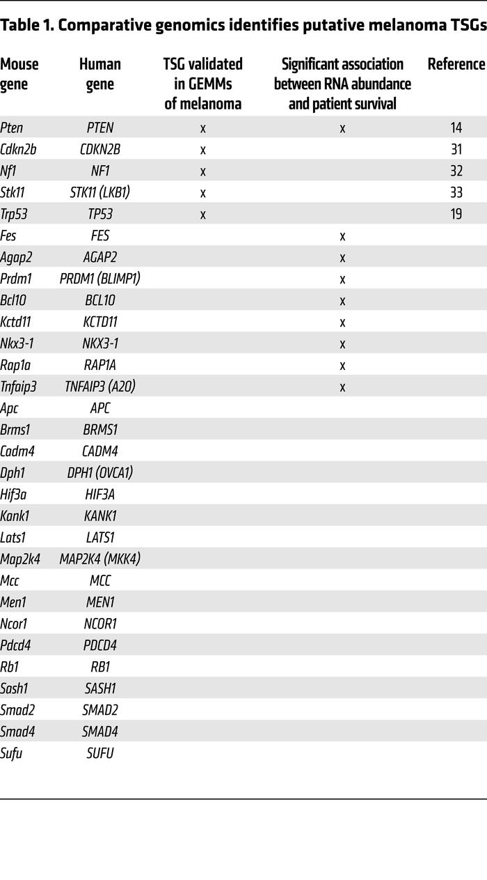 Comparative genomics identifies putative melanoma TSGs
