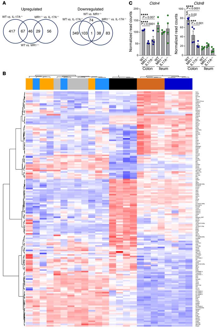 Regulation of host defense and metabolism genes by MAIT and IL-17A.
RNA-...