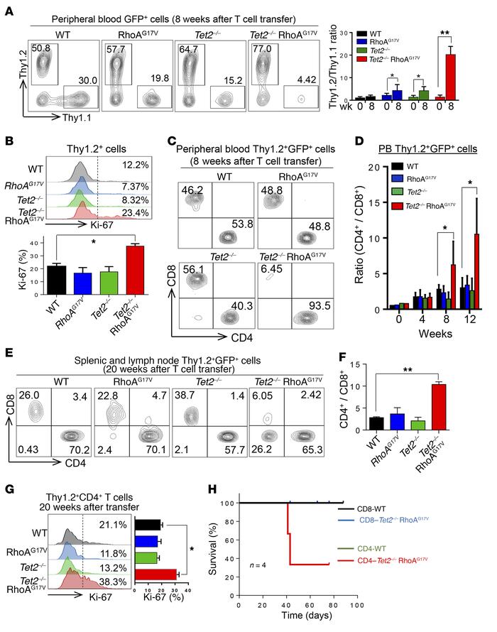 TET2 loss and RhoAG17V expression cause abnormal expansion of CD4+ T cel...