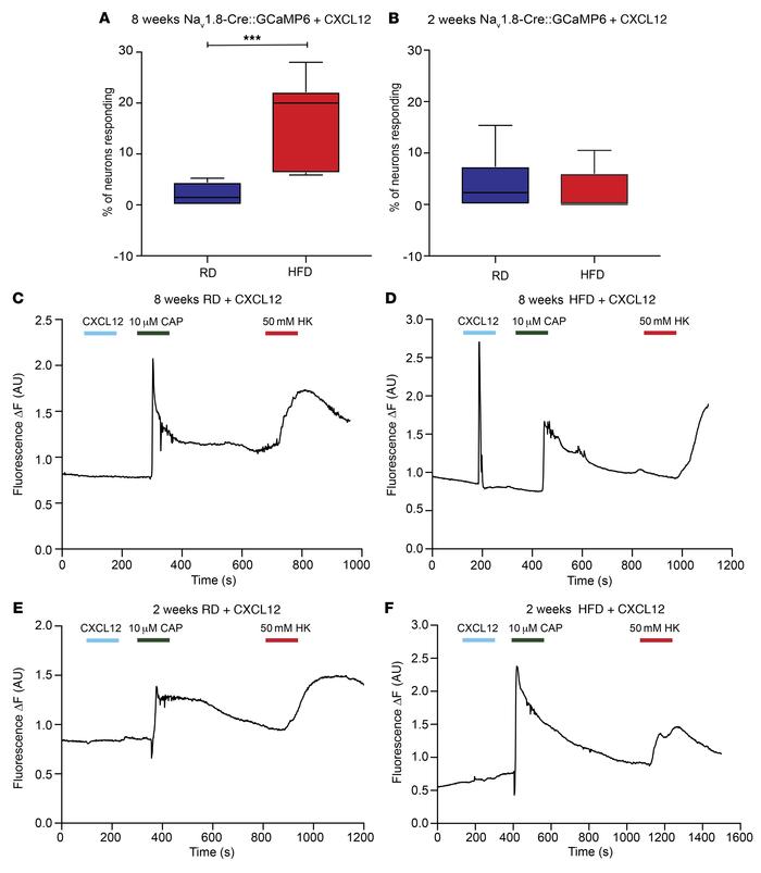 CXCR4 activation produces more frequent calcium responses in Nav1.8-posi...