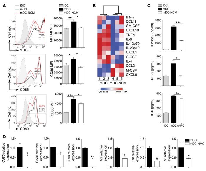 NPC-secreted factors impair the maturation of BMDCs.
(A) Levels of MHC-I...