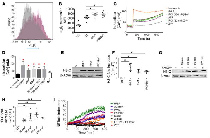 FXII signaling in neutrophils regulates αMβ2 surface expression, intrace...