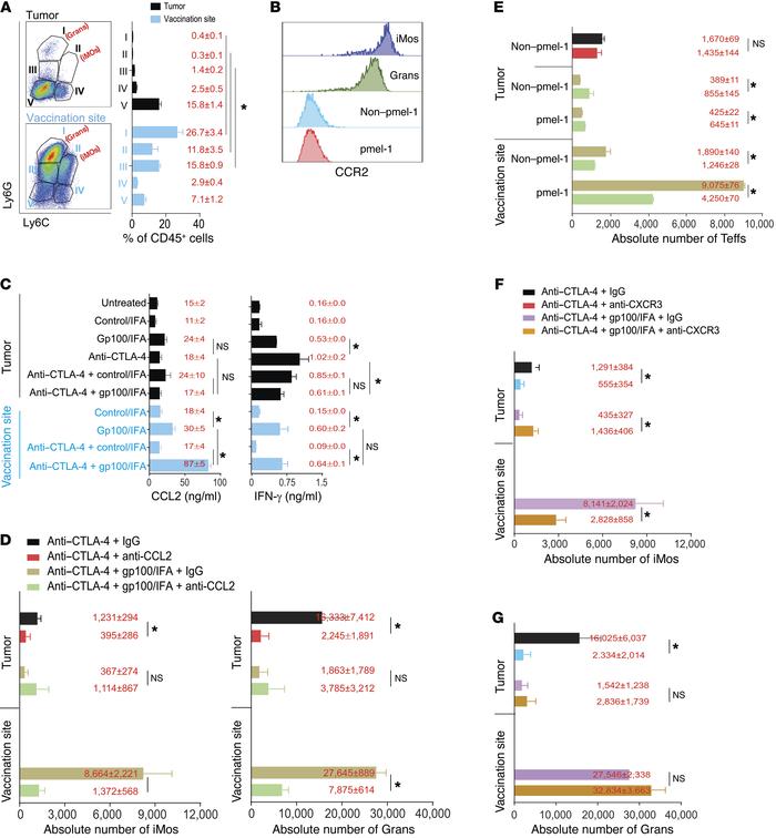 CCL2 and CXCR3 mediate a feed-forward loop of CD8+ Teffs and inflammator...
