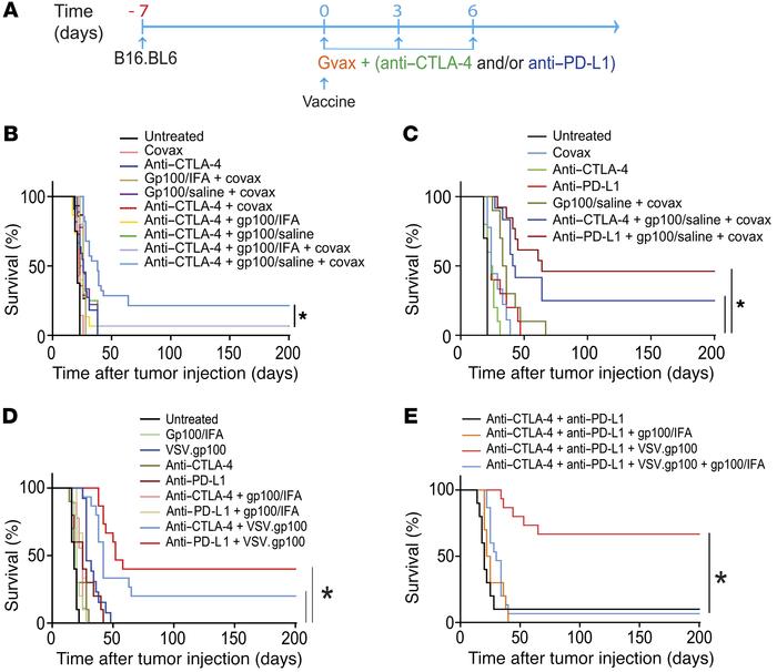 Nonpersistent vaccine formulations overcome primary resistance to CTLA-4...