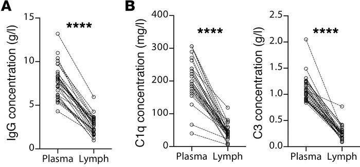 Vascular sequestration of IgG and complement components in transplanted ...