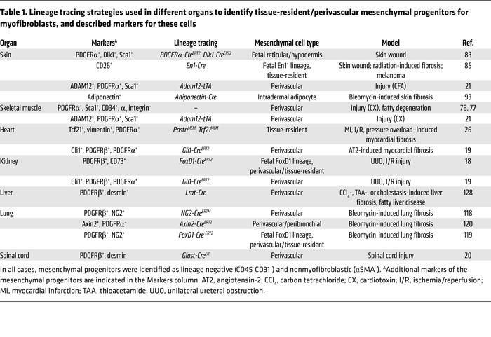 Lineage tracing strategies used in different organs to identify tissue-r...