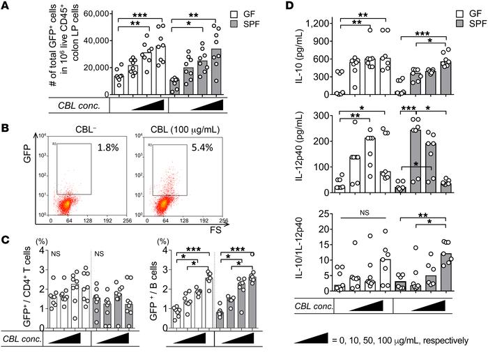 CBL stimulates IL-10–producing colonic LP B cells ex vivo.
Unfractionate...
