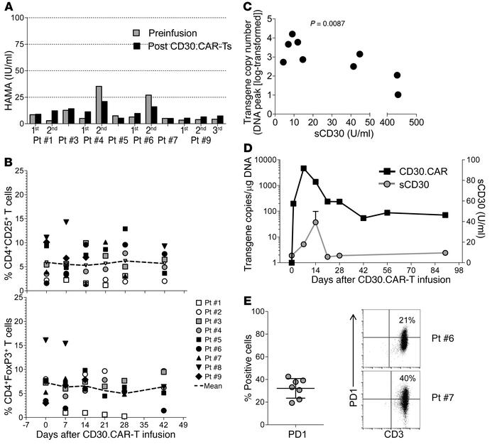 Correlative biological studies after CD30.CAR-Ts.
(A) There was no signi...