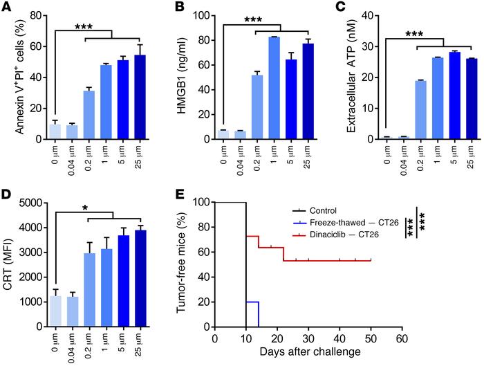 Dinaciclib induces immunogenic cancer cell death.
(A–D) CT26 cells were ...