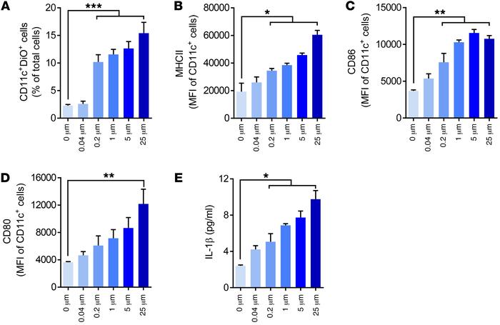 Dinaciclib-treated tumor cells enhance DC function.
DiO-labeled CT26 cel...