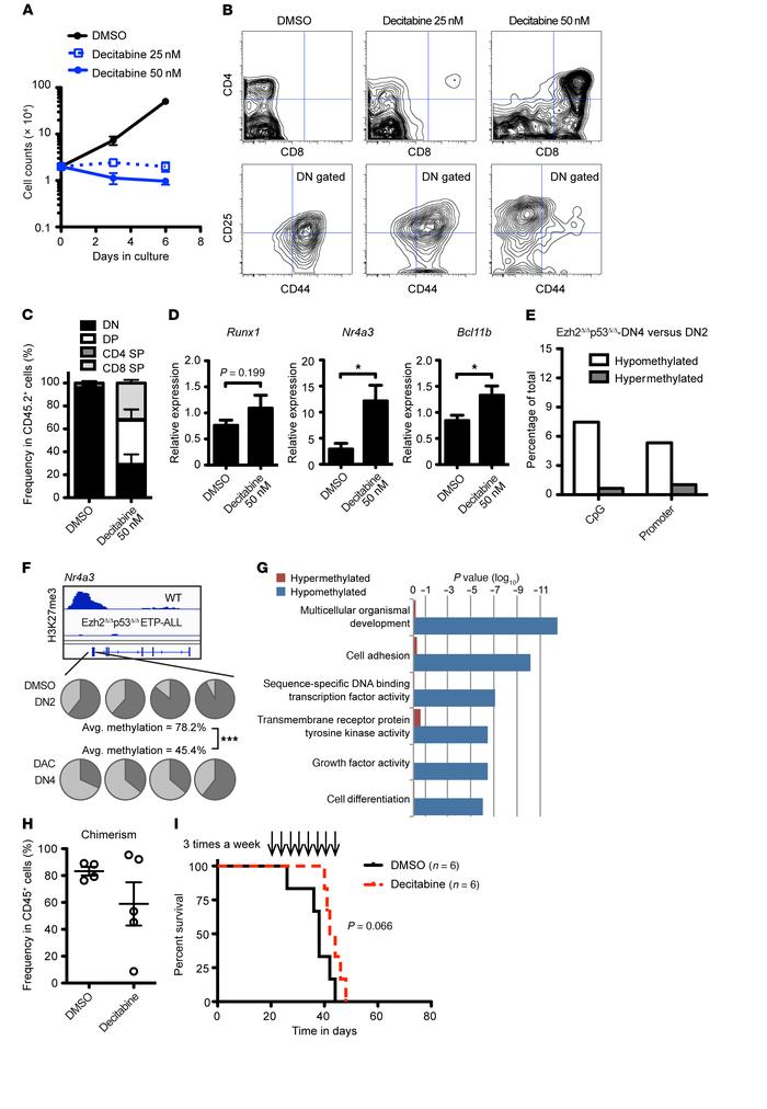 Aberrant DNA hypermethylation sensitized ETP-ALL cells to a DNA hypometh...