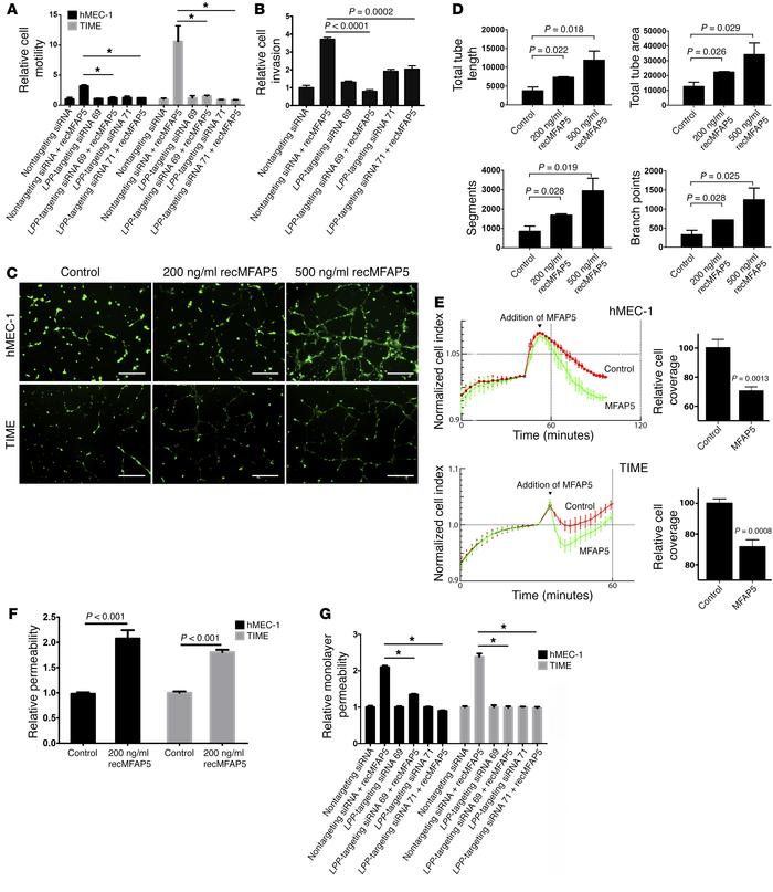 LPP mediates the effect of MFAP5 on endothelial cell motility and monola...