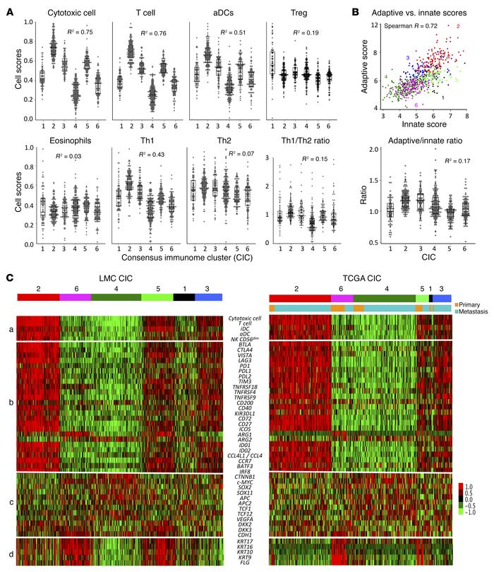 Association of immune scores with evasion mechanisms.
(A) Distribution o...
