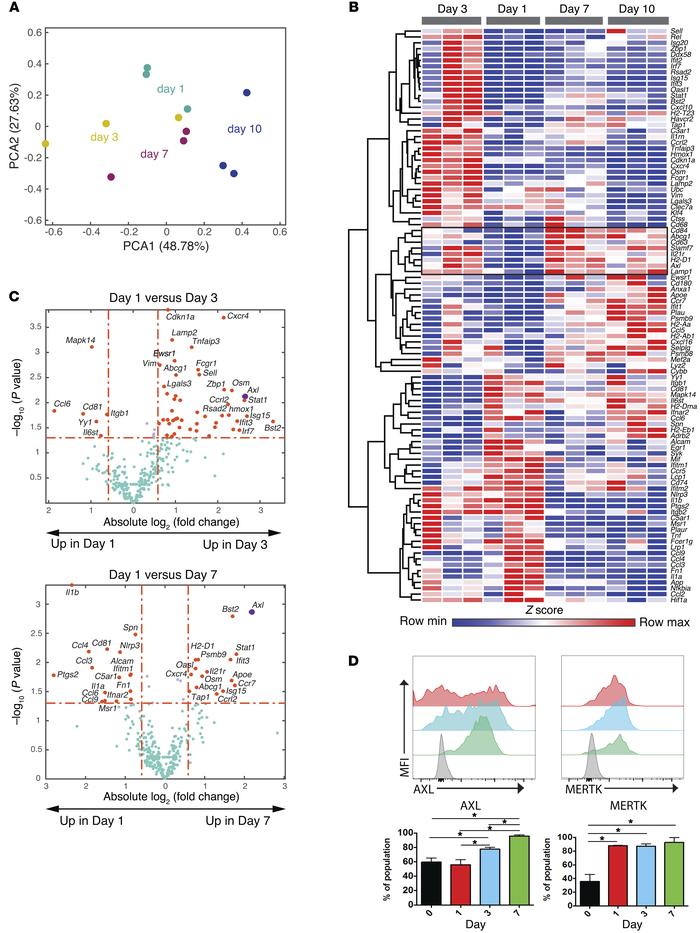 Temporal transcriptional analysis of MDMs identifies Axl and Mertk as po...