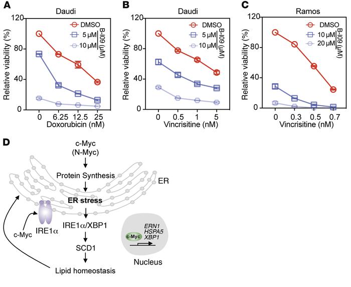 B-I09 CI with doxorubicin and vincristine.
(A) Daudi cells treated with ...