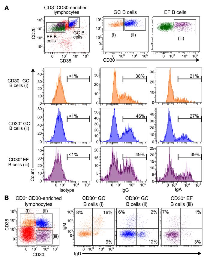 Phenotypic characterization of CD30+ B cells.
Tonsillar mononuclear cell...