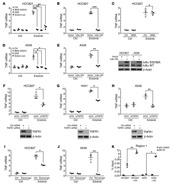 A TNF/NF-κB feed-forward loop regulates the expression of TNF in respons...