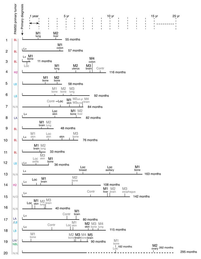 Clinical characteristics and metastatic timeline of the cohort.
Timeline...