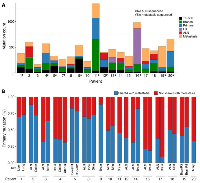 Genomic diversity among primary and metastatic tumors.
(A) Summary of th...
