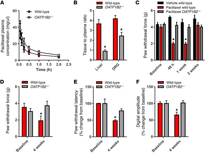Influence of OATP1B2 loss on paclitaxel disposition and neurotoxicity.
(...