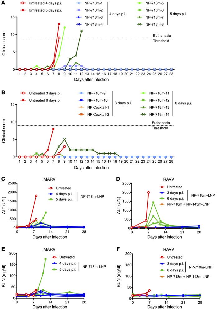 NP-718m–LNP treatment ameliorates disease symptoms in MARV or RAVV HF.
(...