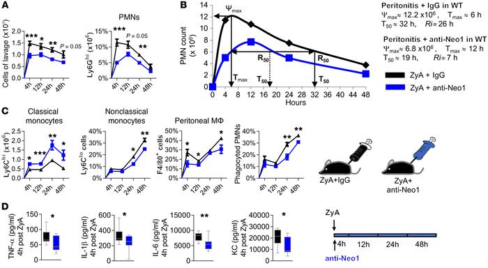 Exogenous inhibition of Neo1 attenuates inflammation and fosters resolut...