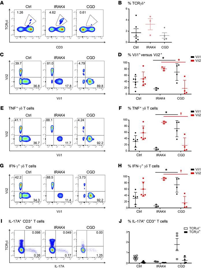 TNF/IFN-γ–producing γδ T cells from PBMCs in individuals with IRAK4 defi...