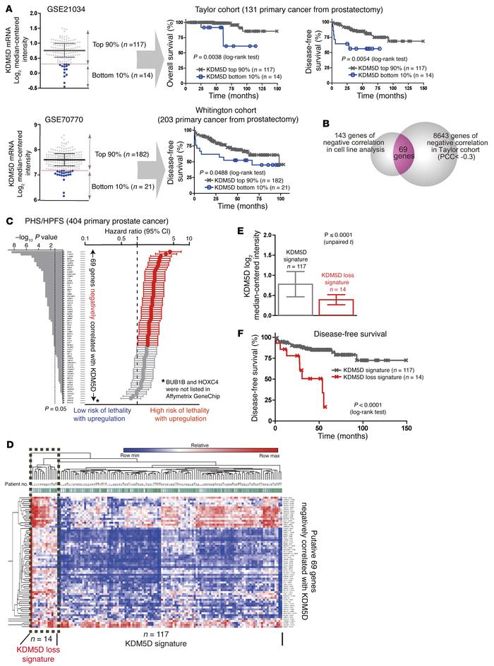 Clinical impact of KDM5D expression in publicly available data sets.
(A)...