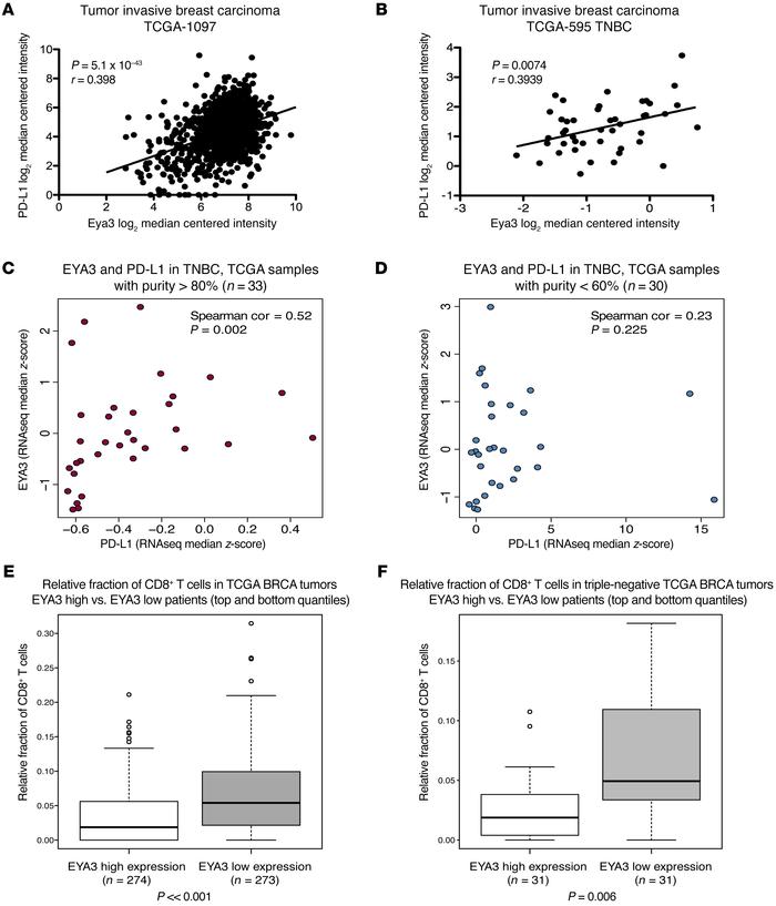 Eya3 expression, PD-L1 expression, and Myc expression are significantly ...