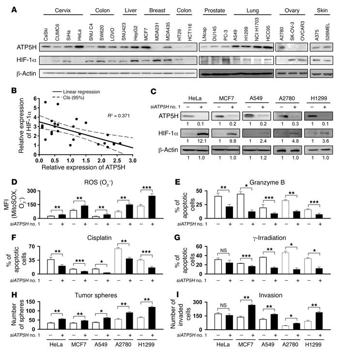 Broad-spectrum cross-resistance to conventional therapeutic agents media...