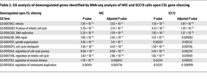 GO analysis of downregulated genes identified by RNA-seq analysis of HKC...