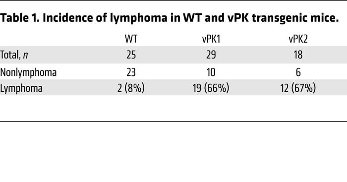 Incidence of lymphoma in WT and vPK transgenic mice.
