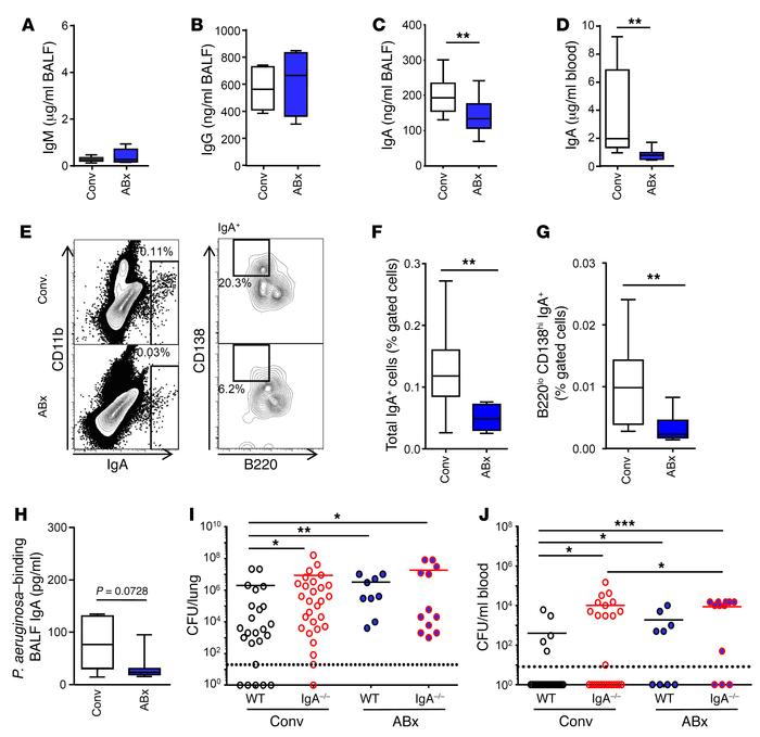 Microbiota depletion impairs antibacterial defense in the lung by decrea...