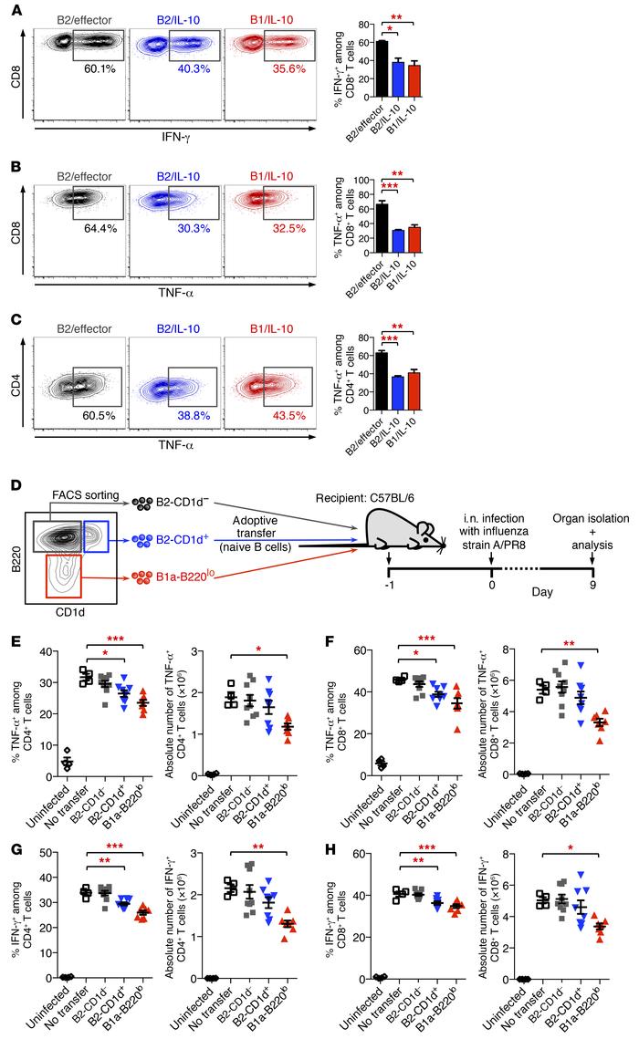 Suppressive function of IL-10–producing Bregs.
(A–C) Bregs suppress infl...