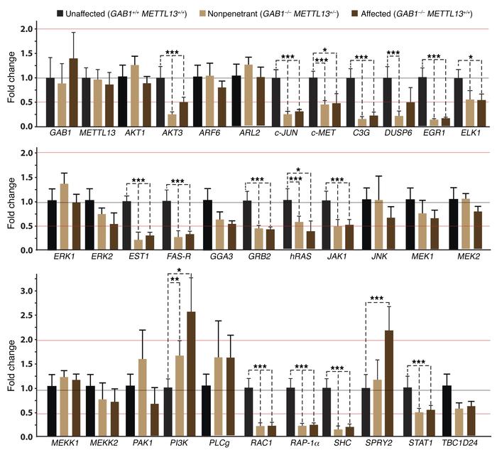 MET–signaling pathway genes are dysregulated in the lymphoblastoid cell ...