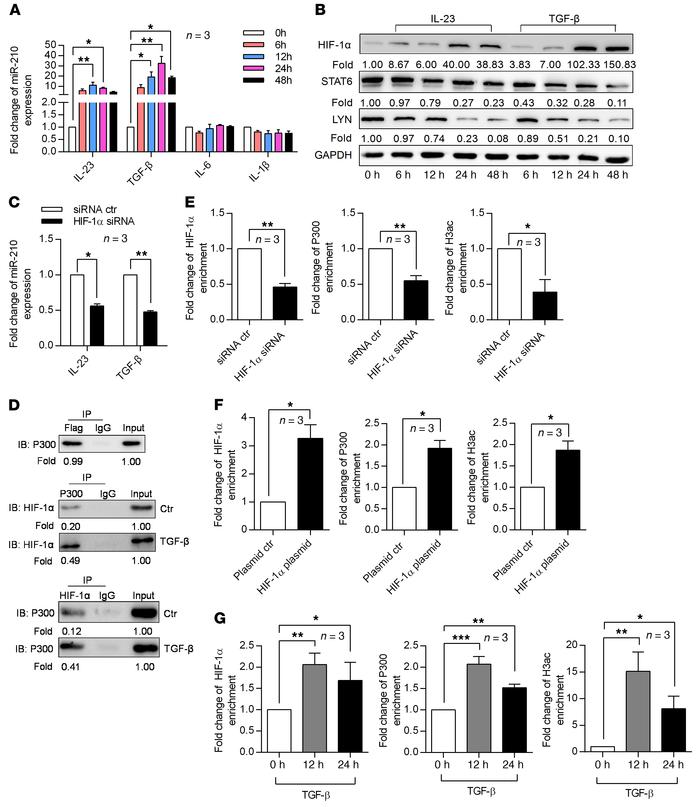 HIF-1α mediates TGF-β– and IL-23–induced miR-210 overexpression via epig...