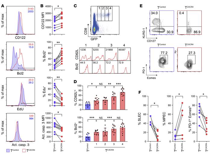 Ag-activated TCXCR4 adopt a less differentiated memory phenotype.
Equal ...