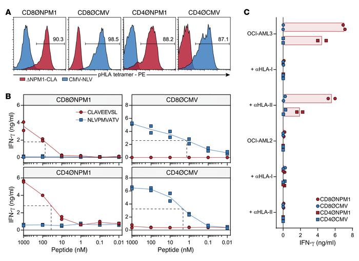 Targeting ΔNPM1 by TCR gene transfer.
CD8+ and CD4+ T cells isolated fro...