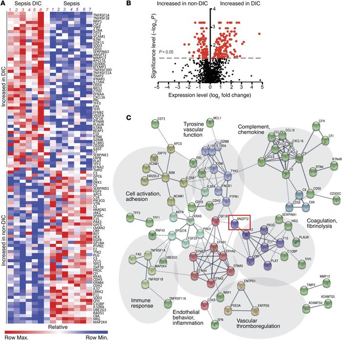 Discovery proteomics in septic DIC implicate endothelium and Angpt-2.
(A...