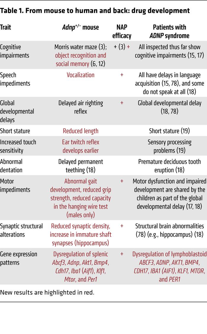 JCI - Activity-dependent neuroprotective protein deficiency models 