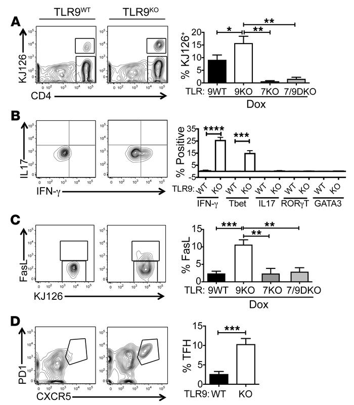 TLR9-deficiency promotes development of Th1 and TFH cells.
sdLN suspensi...