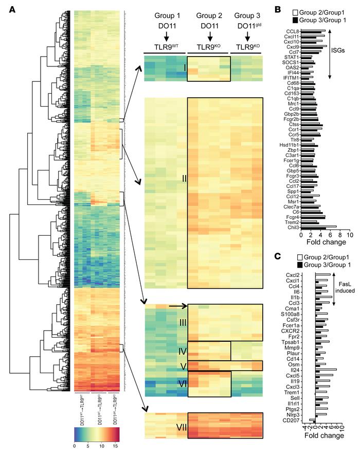 Gene expression in the skin of mice injected with DO11 or DO11gld T cell...