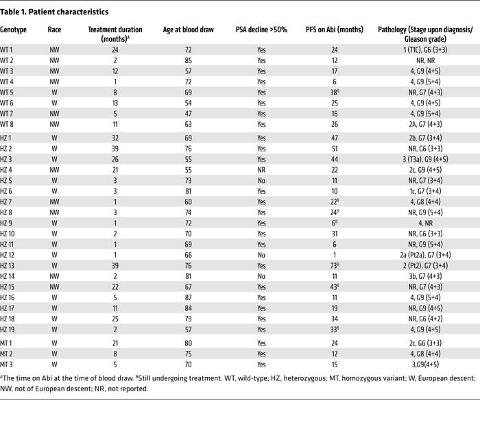 Patient characteristics