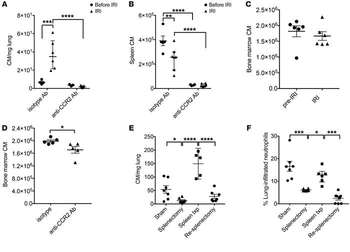 Classical monocytes mediating neutrophil extravasation in lungs subjecte...