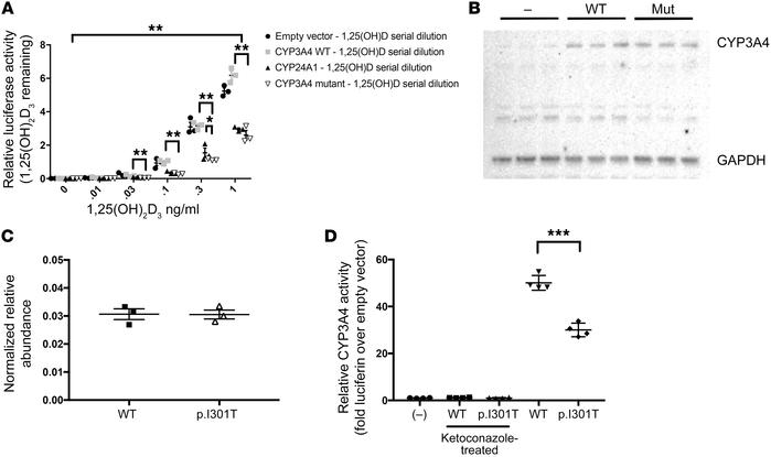 CYP3A4 (p.I301T) mutant has increased vitamin D degradative activity but...