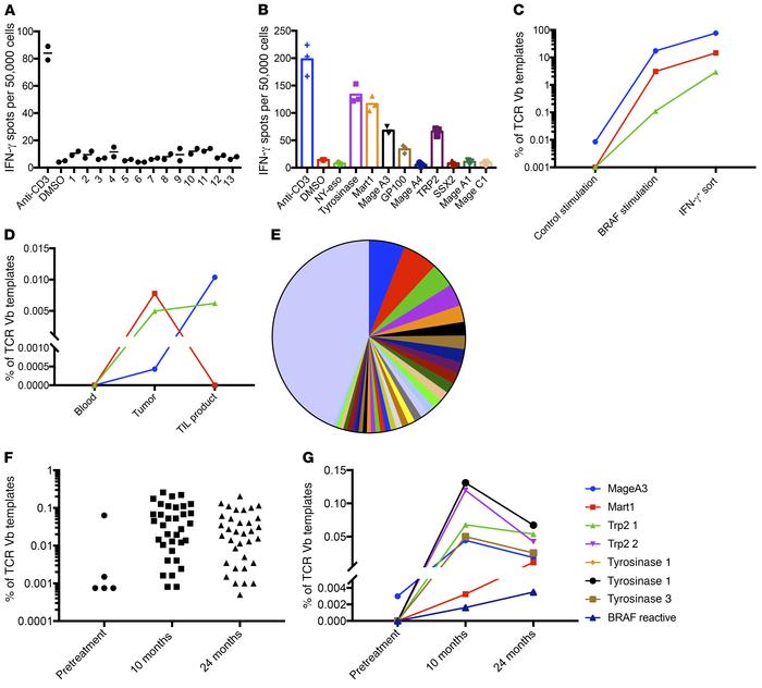 Specificity of CD8+ T cells in TILs and TCR sequencing of T cell clonoty...
