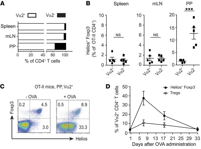 Induction of Helios is TCR-specific.
(A) Frequencies of Ova-specific TCR...